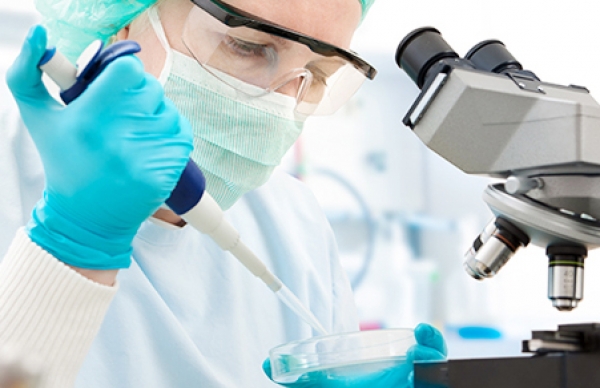 MISSÃO, VISÃO e VALORES